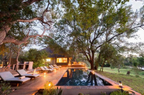  Rukiya Safari Camp  Hoedspruit